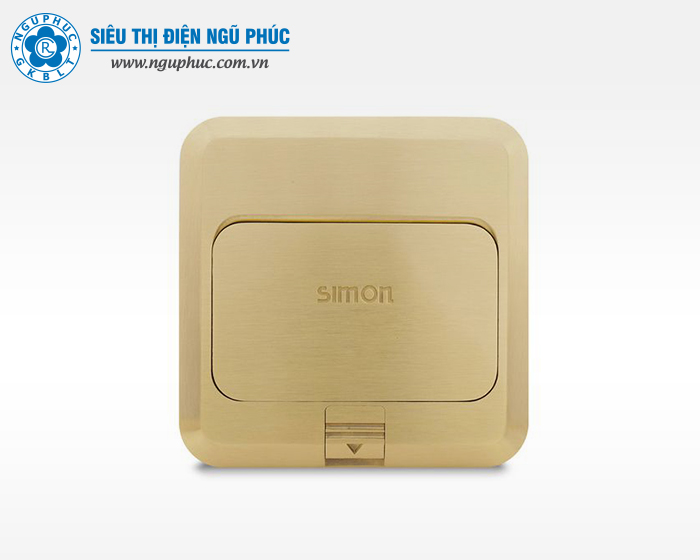 Ổ âm sàn đôi 3 chấu đa năng Gold (S50) Simon (TD120F25)